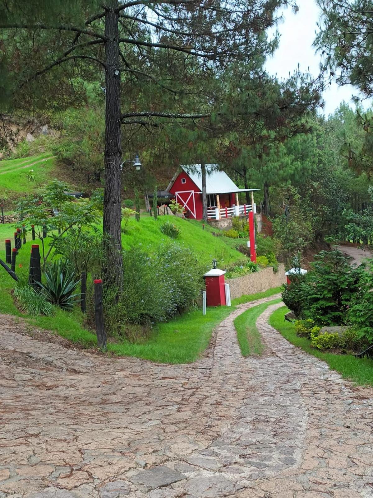 Finca Chuchiya Cabanas Tecpan Tecpán Guatemala المظهر الخارجي الصورة